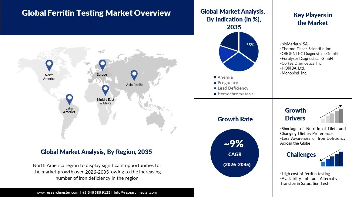 Ferritin Testing Market